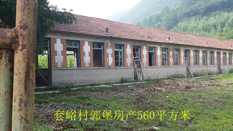 15̖  ��Ϫ�M�����οh������С�WУ��