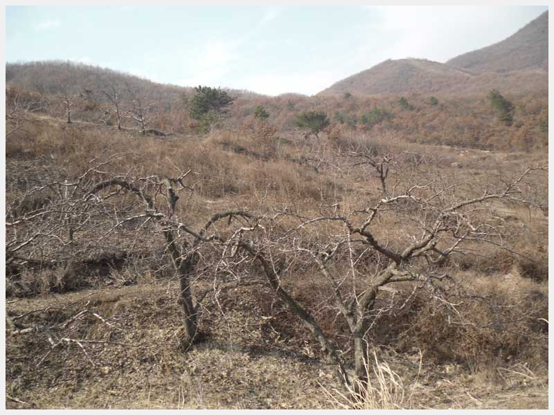 21̖ �������R�L(f��ng)�(zh��n)ʯ�����֙�(qu��n)