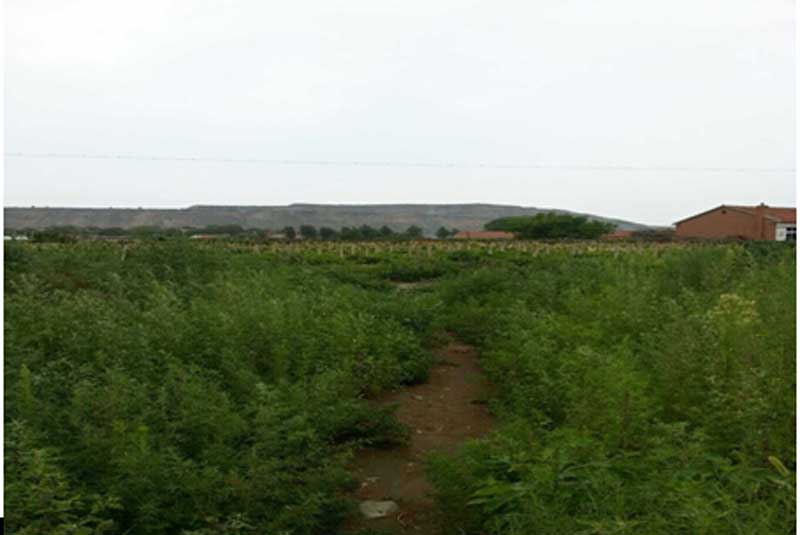 31̖ ��ɽ��ǧɽ�^(q��)�Ƽҷ��(zh��n)�W����C������ʹ�Ù�